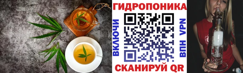 Canna-Cookies марихуана  Светлогорск 