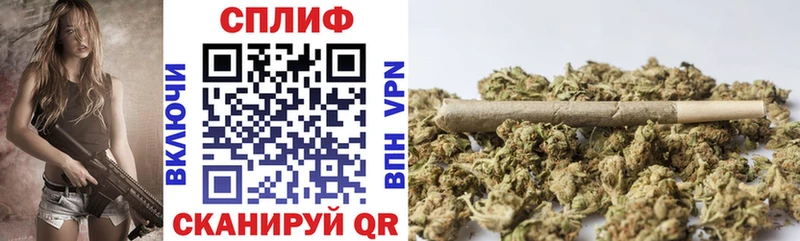 Бошки марихуана сатива  кракен как зайти  Светлогорск 